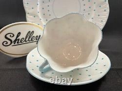 Shelley Dainty Turquoise Polka Dots Cup, Saucer & Plate #13748/t Wow