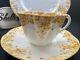 Shelley Dainty Yellow 51/y Cup, Saucer And 8 Plate Yellow Trim Ring