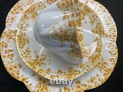 Shelley Dainty Yellow 51/y Cup, Saucer And 8 Plate Yellow Trim Ring