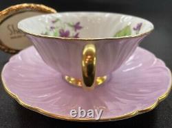 Shelley Footed Oleander Violets Cup And Saucer Mauve Trim # 13830 Wow