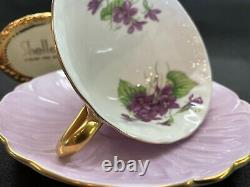 Shelley Footed Oleander Violets Cup And Saucer Mauve Trim # 13830 Wow