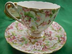 Shelley MAYTIME CHINTZ RIPON SHAPE CUP AND SAUCER GOLD TRIM #13386