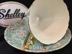 Shelley Marguerite Chintz Ripon Shape Cup And Saucer #13694 Gold Trim
