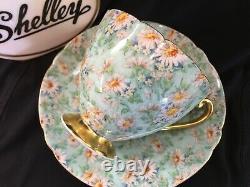 Shelley Marguerite Chintz Ripon Shape Cup And Saucer #13694 Gold Trim