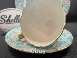 Shelley Marguerite Chintz Ripon Shape Cup, Saucer And Plate #13694 Gold Trim