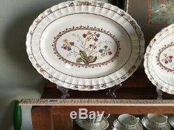 Spode Cowslip dinnerware old brown mark numbered by hand set lot 38 PIECES