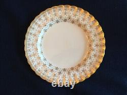 Spode Fleur de Lys Y8063 Dinnerware 12 Dinner, 12 Bread, 9 Salad, 15 cups