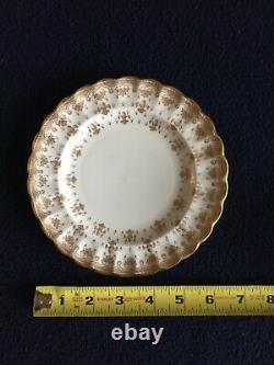 Spode Fleur de Lys Y8063 Dinnerware 12 Dinner, 12 Bread, 9 Salad, 15 cups