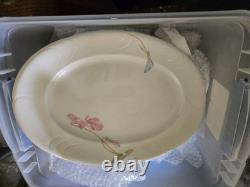 Surrey Hill Collection 56 piece Porcelain China Set