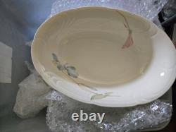 Surrey Hill Collection 56 piece Porcelain China Set