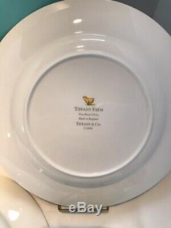 TIFFANY & Co FARM 2000, NEW Children's Dinnerware, Bone China, UK, discontinued