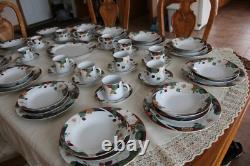 Tienshan Magnolia Dinnerware Set 5 Piece Place Setting For 12 & Serving Platter