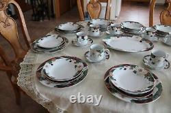 Tienshan Magnolia Dinnerware Set 5 Piece Place Setting For 12 & Serving Platter