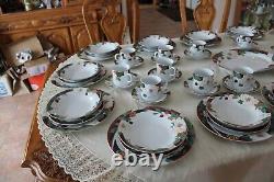 Tienshan Magnolia Dinnerware Set 5 Piece Place Setting For 12 & Serving Platter