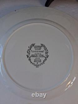 VTG Staffordshire IRONSTONE Fine Bone China SetLucerne Pattern 36 PCs! England
