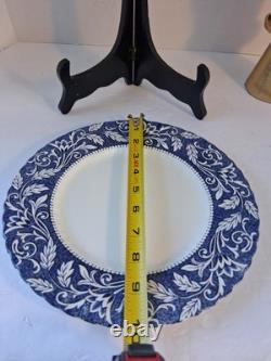 VTG Staffordshire IRONSTONE Fine Bone China SetLucerne Pattern 36 PCs! England