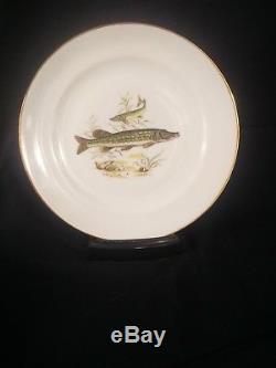 Vintage 12 Naaman, Israel 9.25 Fish Plates & 1 Fish Platter, 1950's