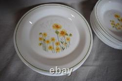 Vintage Arcopal ARP3 Dinnerware Set of 8 Bowls Cups and Saucers Dinner Plates