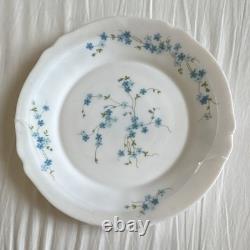 Vintage Arcopal Véronica 16pc Opal Glass Dinner Set by J. G. Durand France