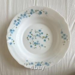 Vintage Arcopal Véronica 16pc Opal Glass Dinner Set by J. G. Durand France