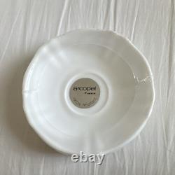 Vintage Arcopal Véronica 16pc Opal Glass Dinner Set by J. G. Durand France