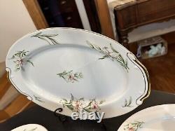 Vintage Bone China Dinnerware Set 12 Settings + Tea Set +Serving Lyric Pattern