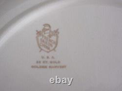 Vintage China Dinnerware set Golden Harvest FRENCH SAXON USA s/8 Fair condition