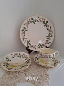 Vintage Dinnerware Set Eggshell Nautilus Apple Blossoms