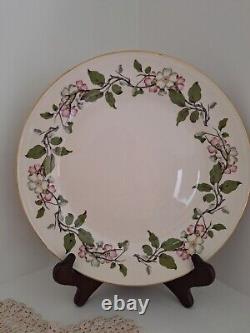 Vintage Dinnerware Set Eggshell Nautilus Apple Blossoms