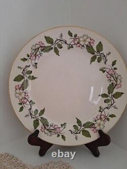 Vintage Dinnerware Set Eggshell Nautilus Apple Blossoms