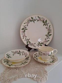 Vintage Dinnerware Set Eggshell Nautilus Apple Blossoms