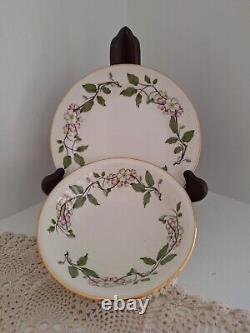 Vintage Dinnerware Set Eggshell Nautilus Apple Blossoms