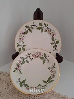 Vintage Dinnerware Set Eggshell Nautilus Apple Blossoms