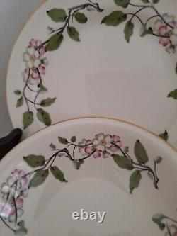 Vintage Dinnerware Set Eggshell Nautilus Apple Blossoms