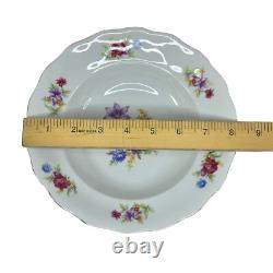 Vintage Karolina Favolina Retired Dinnerware Set Lot Of 25
