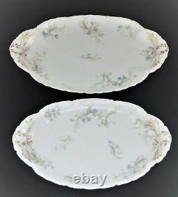 Vintage Limoges Haviland France Dinnerware Set Tiny Flowers Pink Blue