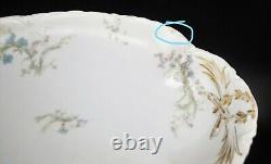 Vintage Limoges Haviland France Dinnerware Set Tiny Flowers Pink Blue