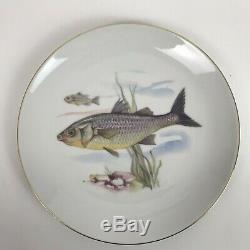 Vintage Neiman Marcus West Germany 5 Fish Dinner Plates And 1 Serving Platter