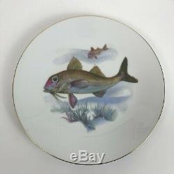 Vintage Neiman Marcus West Germany 5 Fish Dinner Plates And 1 Serving Platter