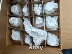 Vintage Wawel Poland Garden Rose China Dinnerware Complete Set Of 8 New In Box
