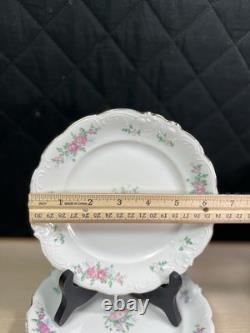 Walbrzych Dinnerware Set of 26- Made in Poland-Teacups, Saucers, salad Bowls