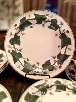 Wedgwood Napoleon Ivy dinnerware