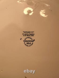 Wedgwood Napoleon Ivy dinnerware