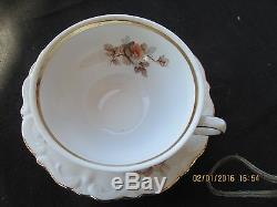 Winterling Bavaria Germany Brown Bouquet Coffee Luncheon Set For 6 21pc